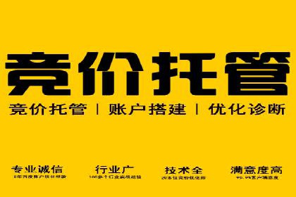 某企业通过SEM运营实现业绩翻倍的秘诀